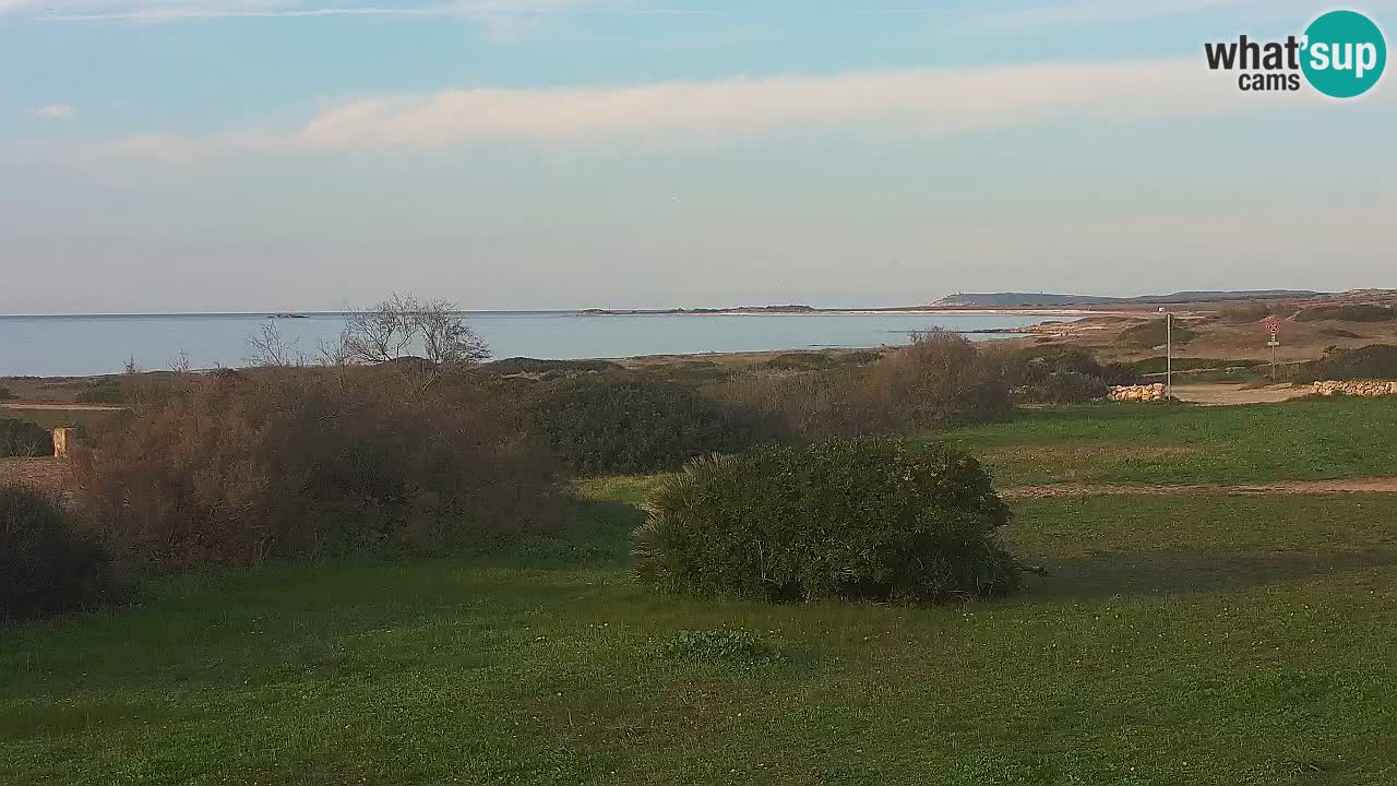 Mari Ermi beach | Is Arutas – Oristano