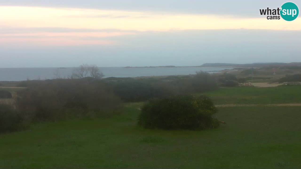 Playa Mari Ermi | Is Arutas – Oristano