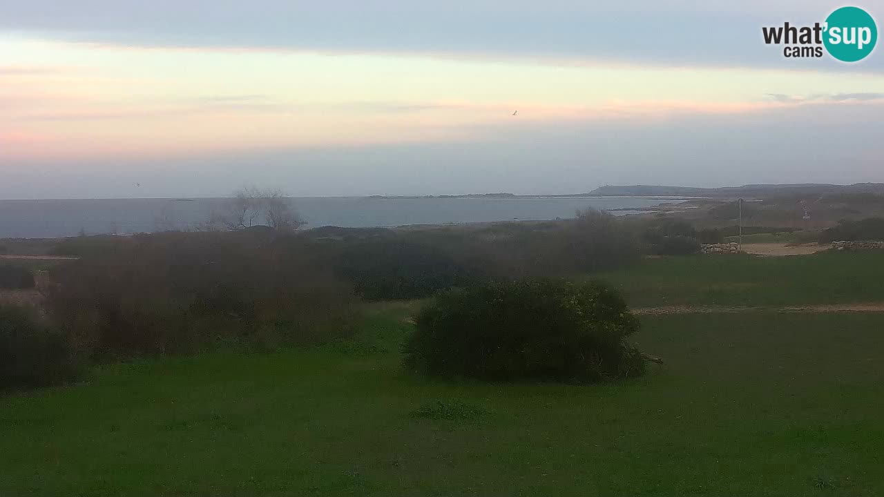 Plaža Mari Ermi | Is Arutas – Oristano