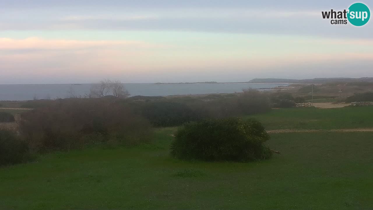 Plaža Mari Ermi | Is Arutas – Oristano