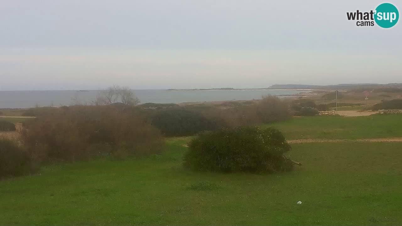 Plaža Mari Ermi | Is Arutas – Oristano