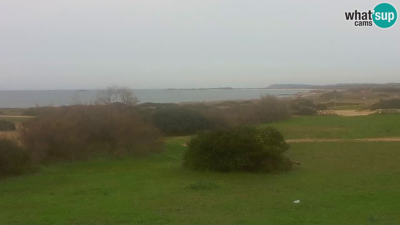 Mari Ermi Strand | Is Arutas – Oristano