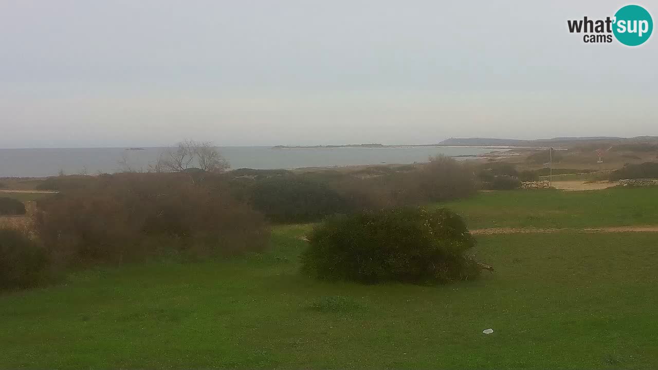 Mari Ermi beach | Is Arutas – Oristano