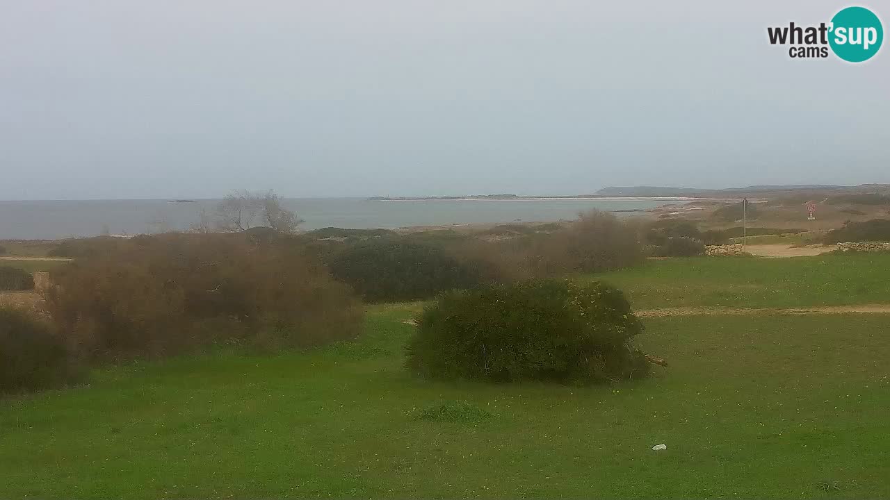 Mari Ermi Strand | Is Arutas – Oristano