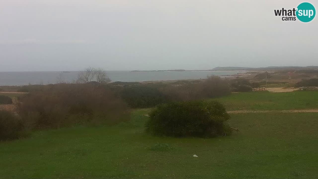 Mari Ermi Strand | Is Arutas – Oristano