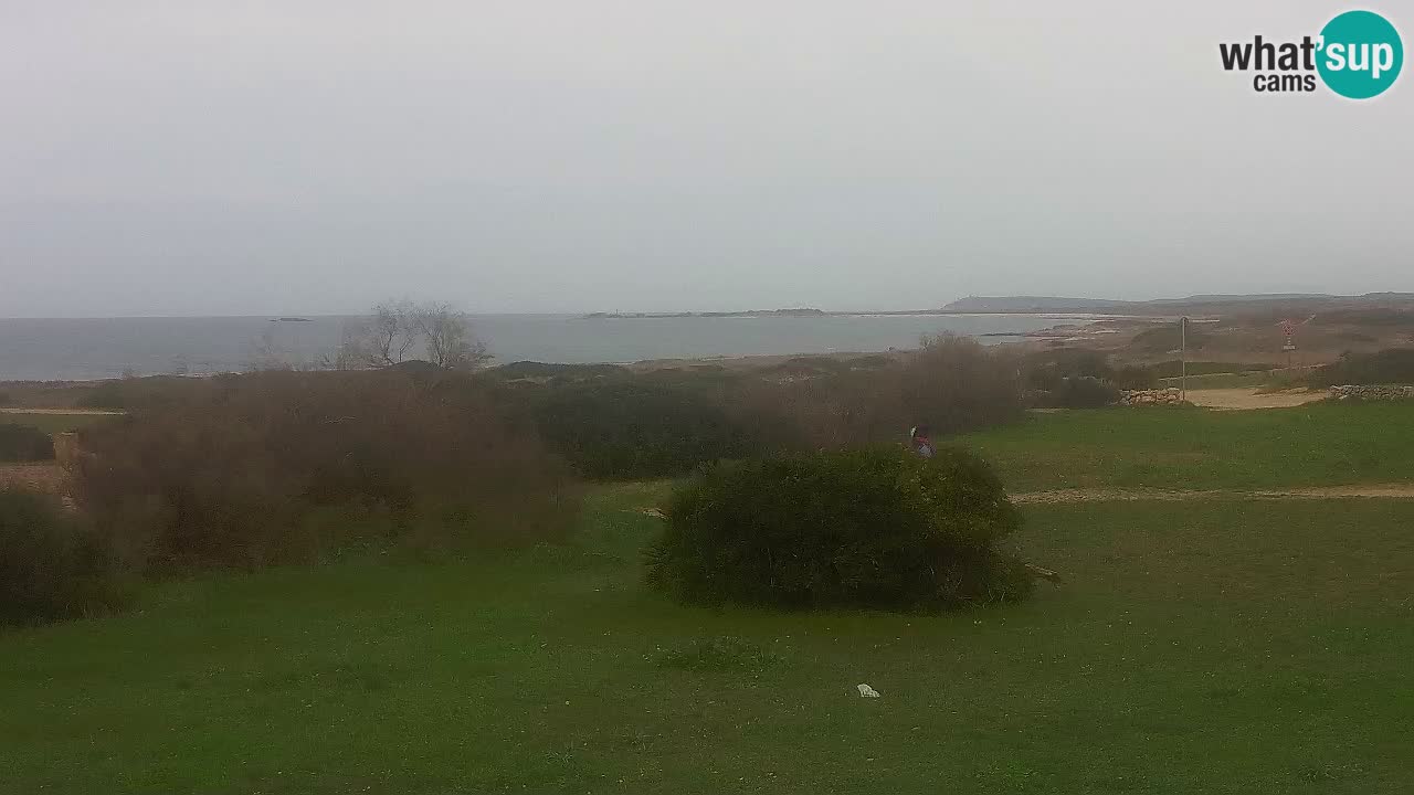 Spiaggia Mari Ermi | Is Arutas – Oristano