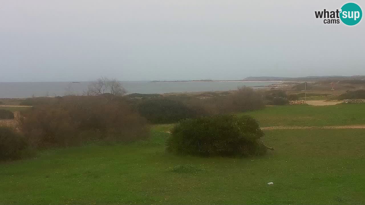 Plaža Mari Ermi | Is Arutas – Oristano