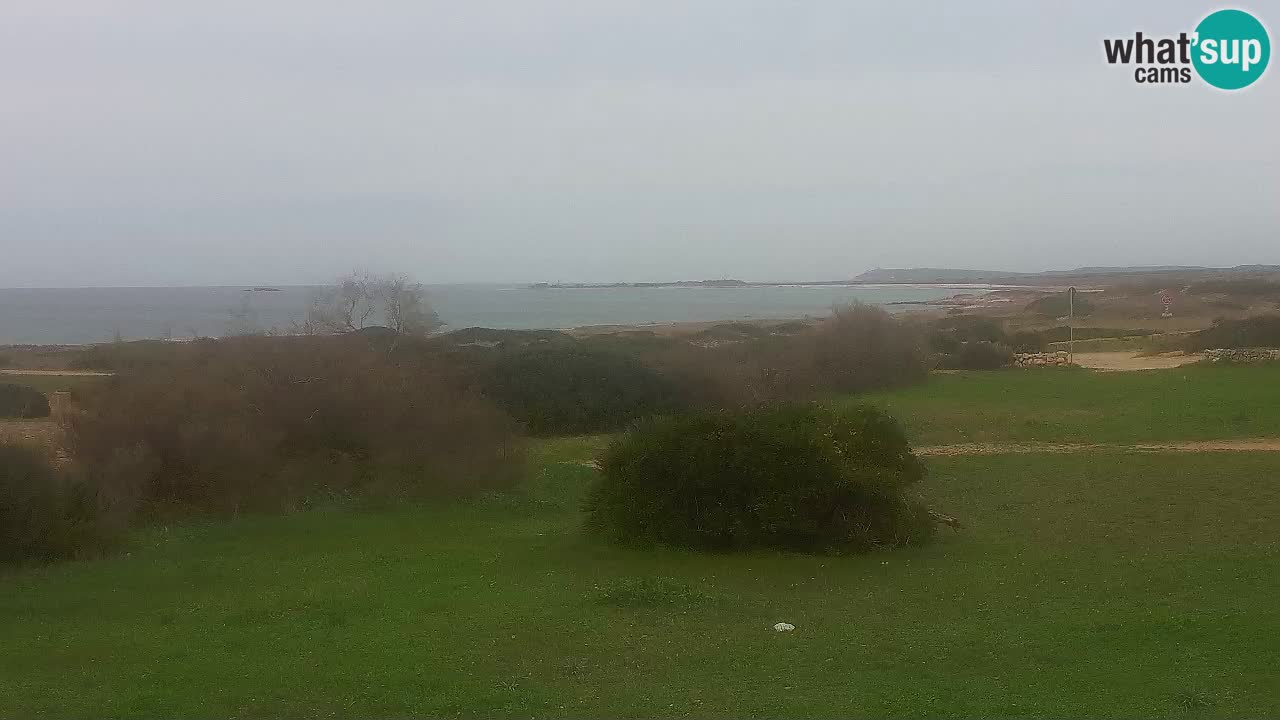 Mari Ermi Strand | Is Arutas – Oristano