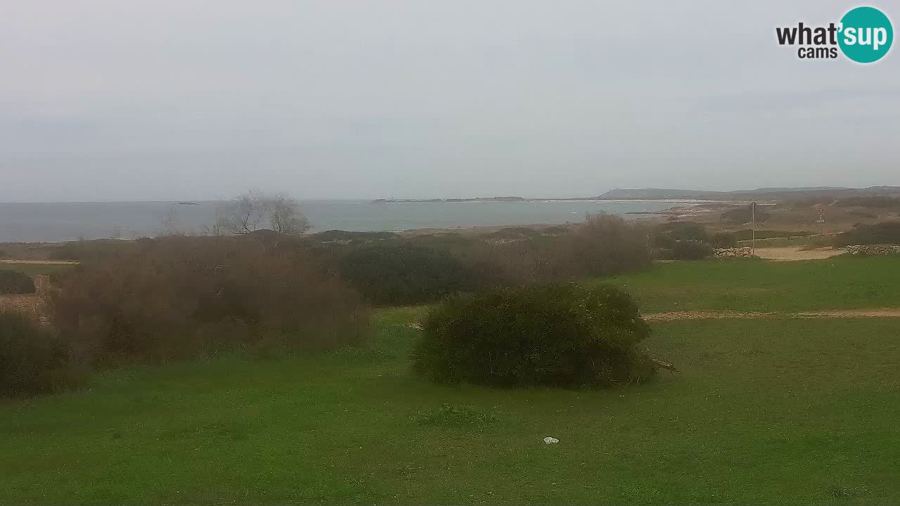 Plaža Mari Ermi | Is Arutas – Oristano