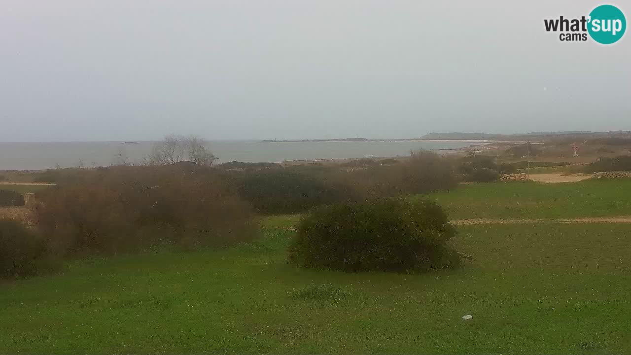 Plaža Mari Ermi | Is Arutas – Oristano