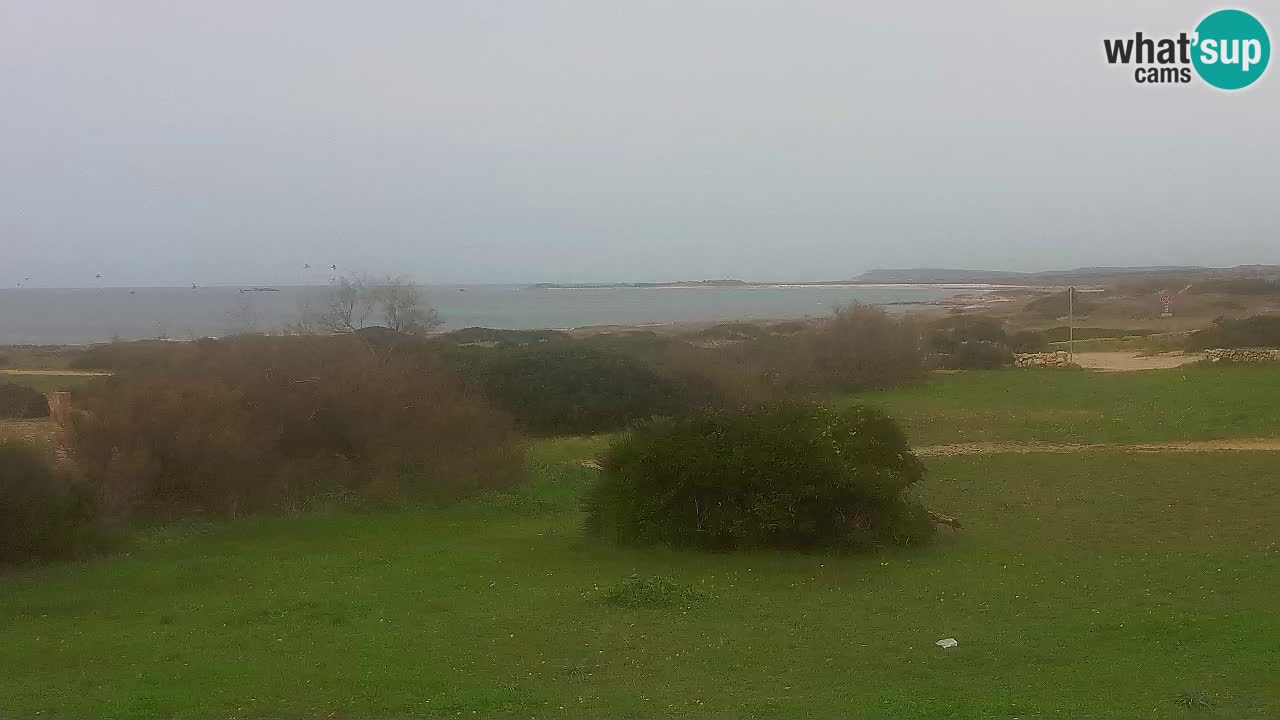 Mari Ermi Strand | Is Arutas – Oristano