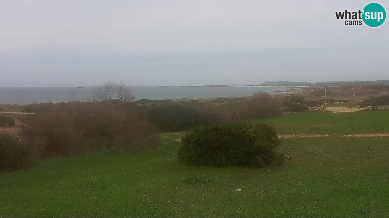 Plage Mari Ermi | Is Arutas – Oristano