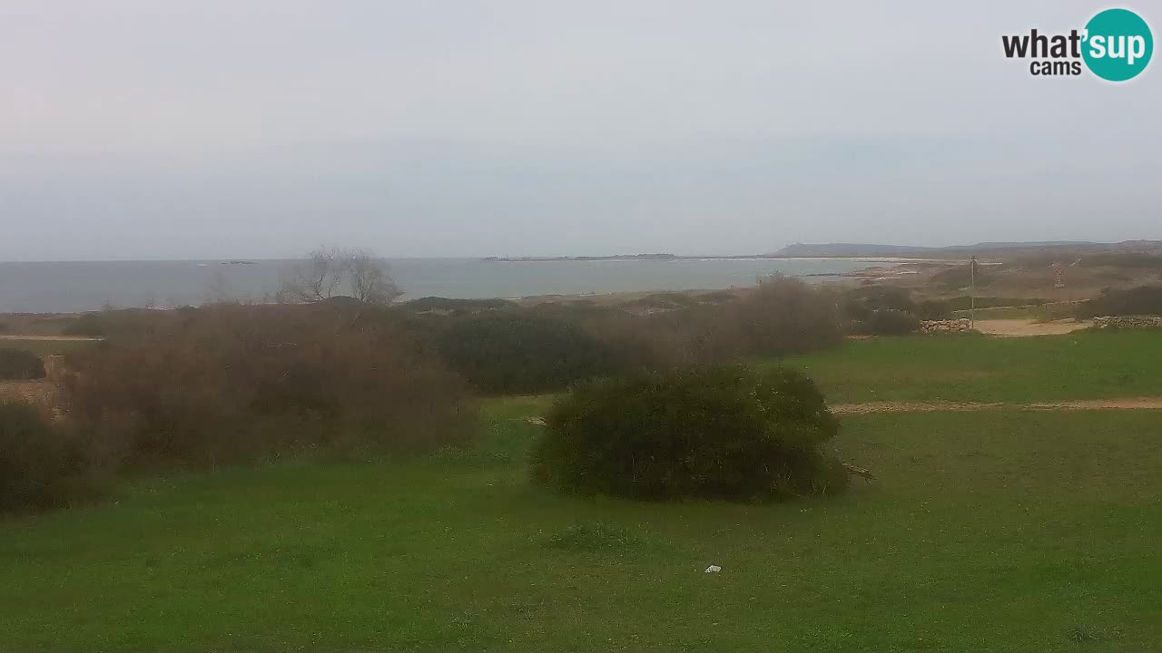 Plage Mari Ermi | Is Arutas – Oristano