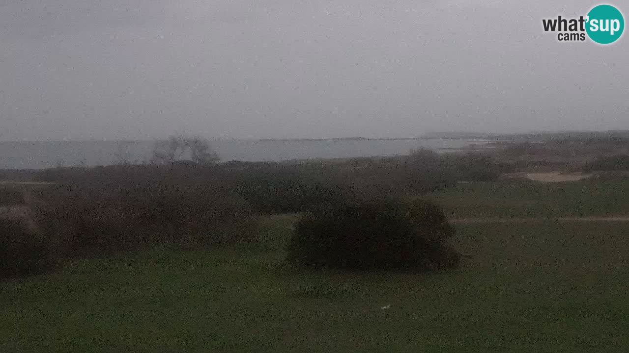 Playa Mari Ermi | Is Arutas – Oristano