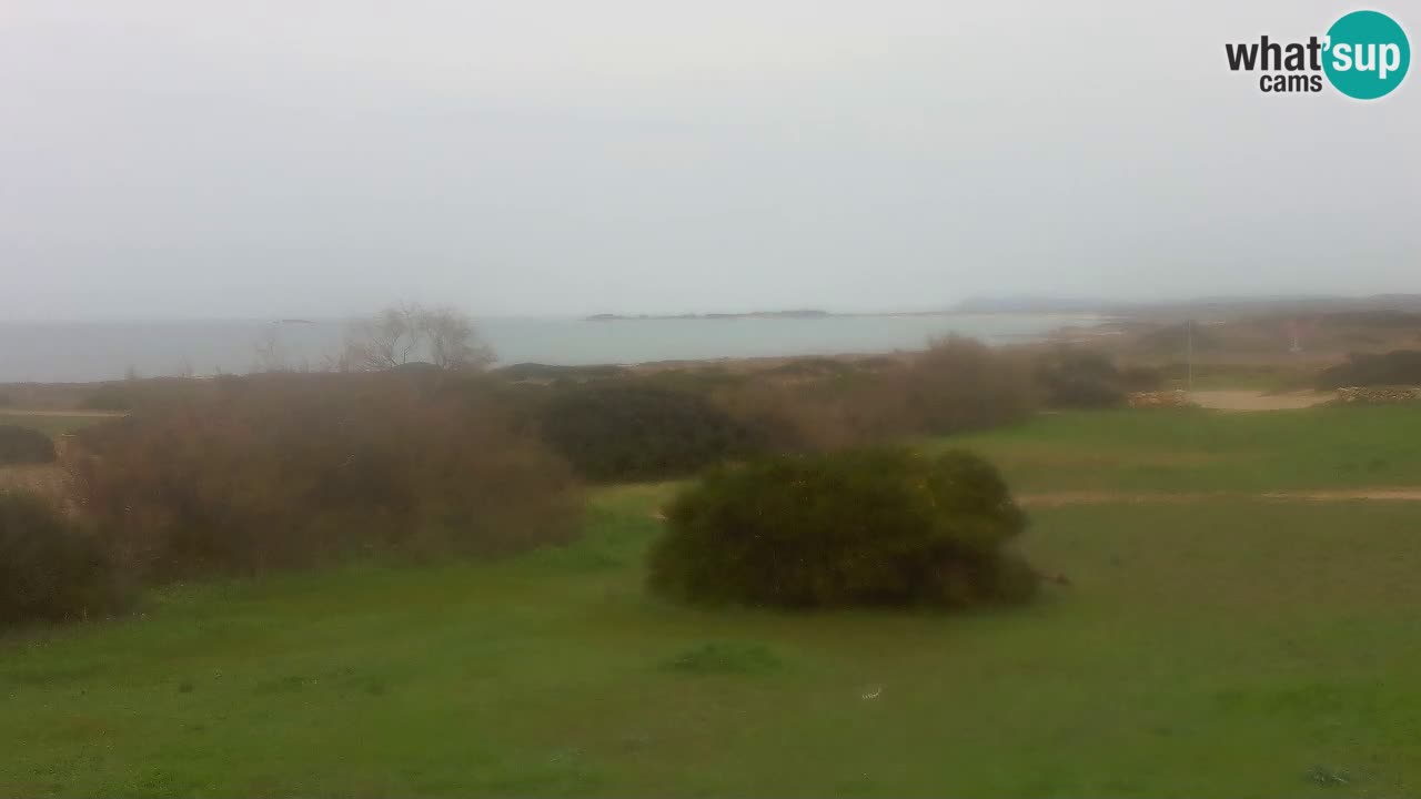 Mari Ermi Strand | Is Arutas – Oristano