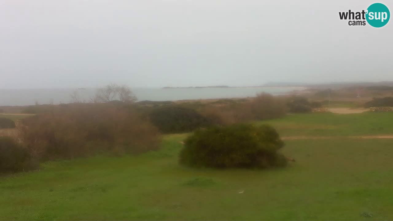 Plage Mari Ermi | Is Arutas – Oristano