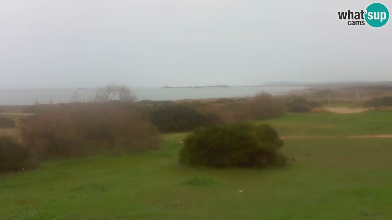 Plaža Mari Ermi | Is Arutas – Oristano