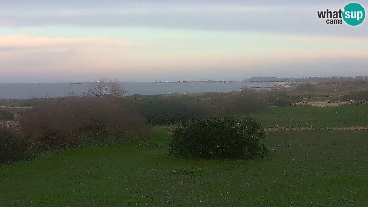 Mari Ermi Strand | Is Arutas – Oristano