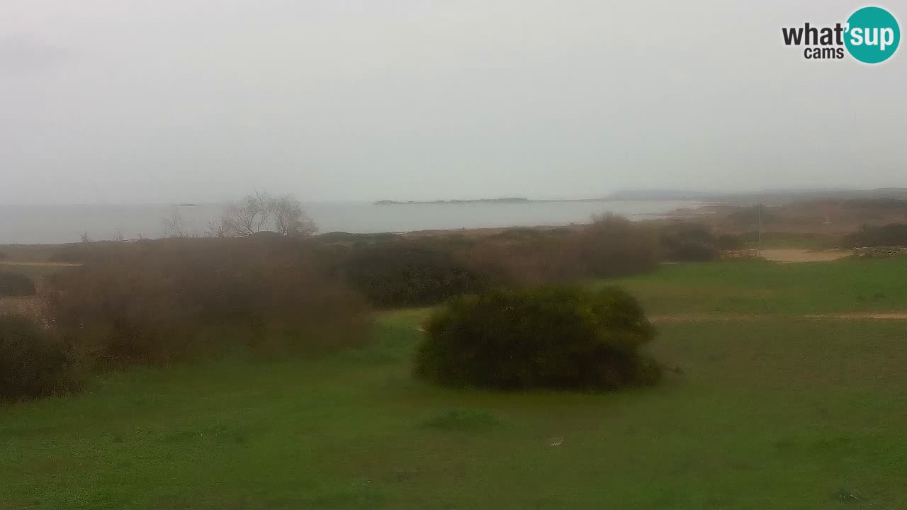 Plaža Mari Ermi | Is Arutas – Oristano