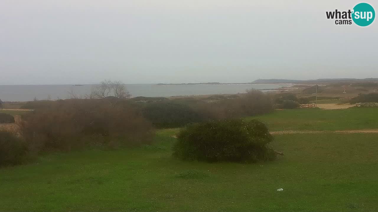 Plage Mari Ermi | Is Arutas – Oristano