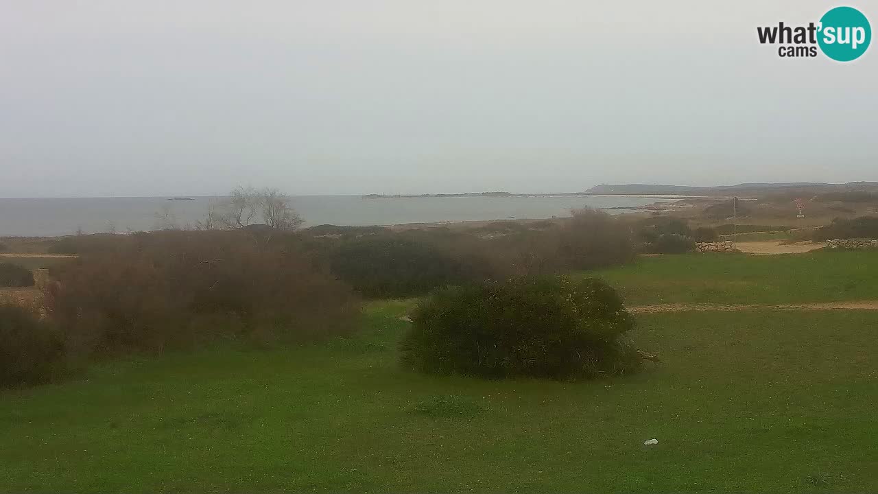 Plage Mari Ermi | Is Arutas – Oristano