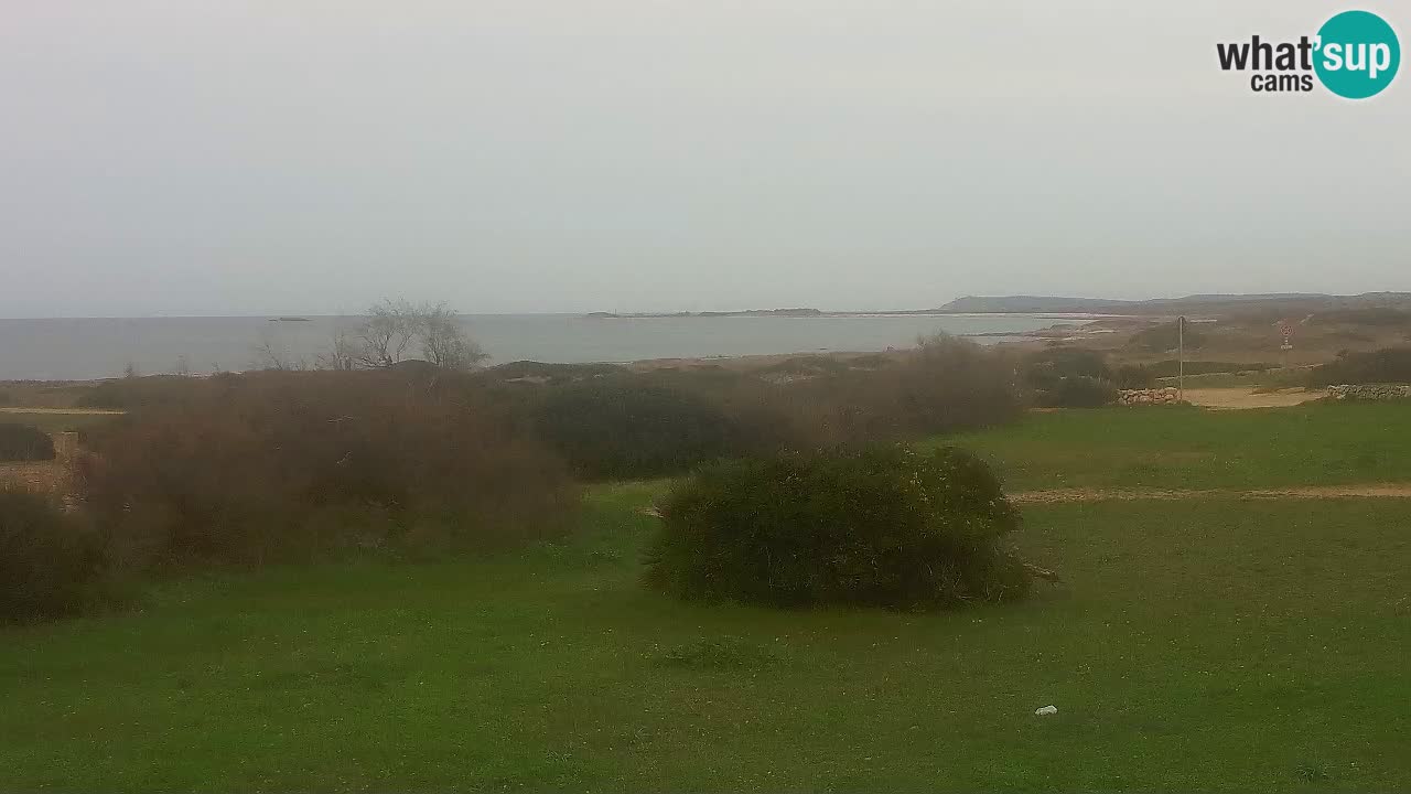 Mari Ermi beach | Is Arutas – Oristano