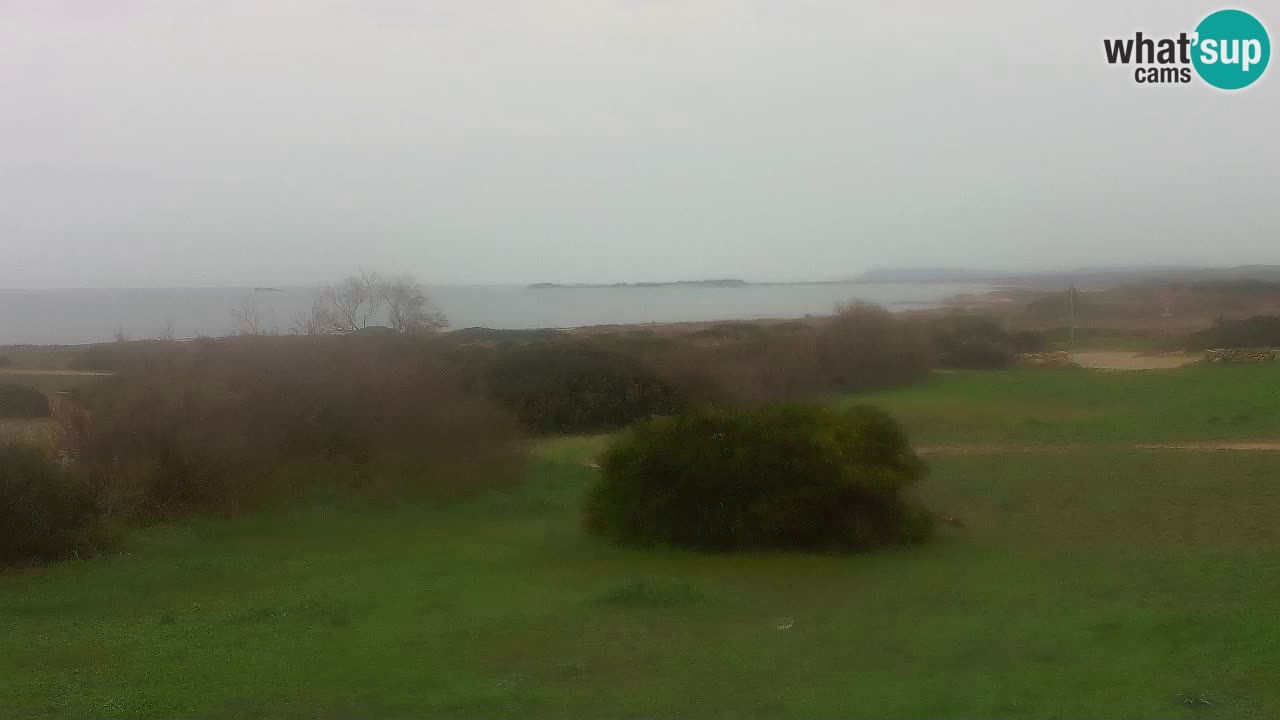 Playa Mari Ermi | Is Arutas – Oristano