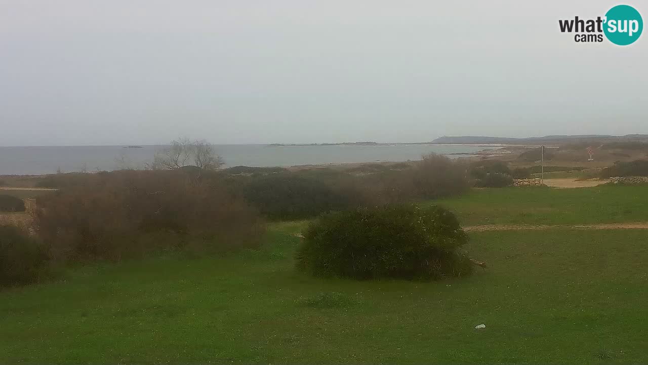 Spiaggia Mari Ermi | Is Arutas – Oristano