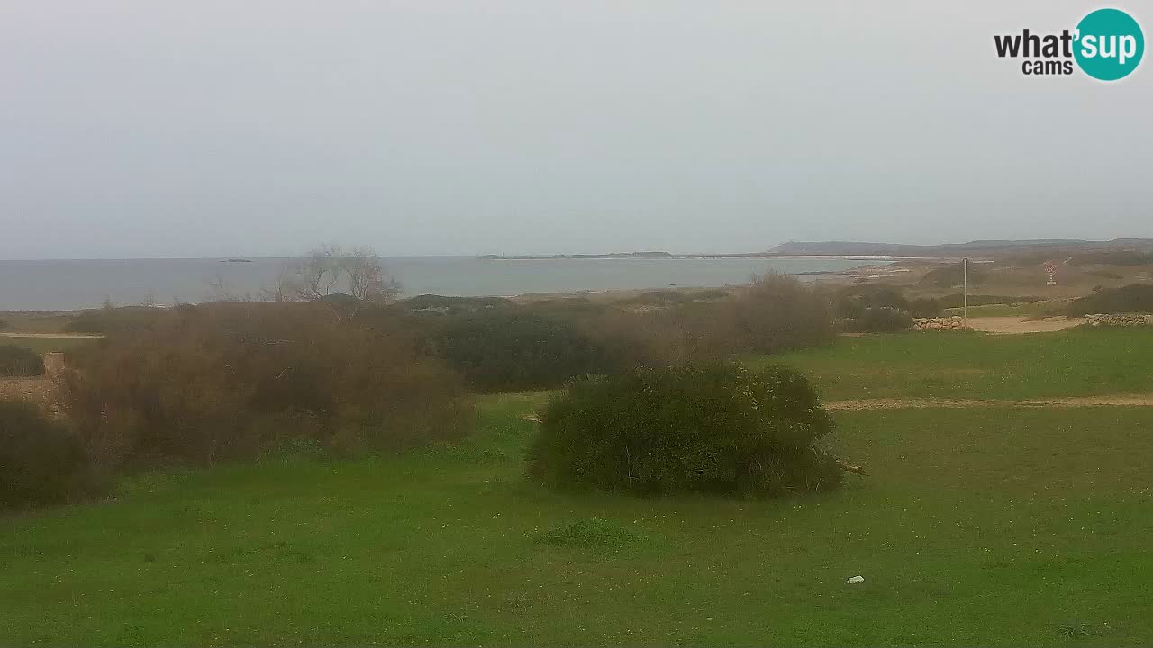 Spiaggia Mari Ermi | Is Arutas – Oristano