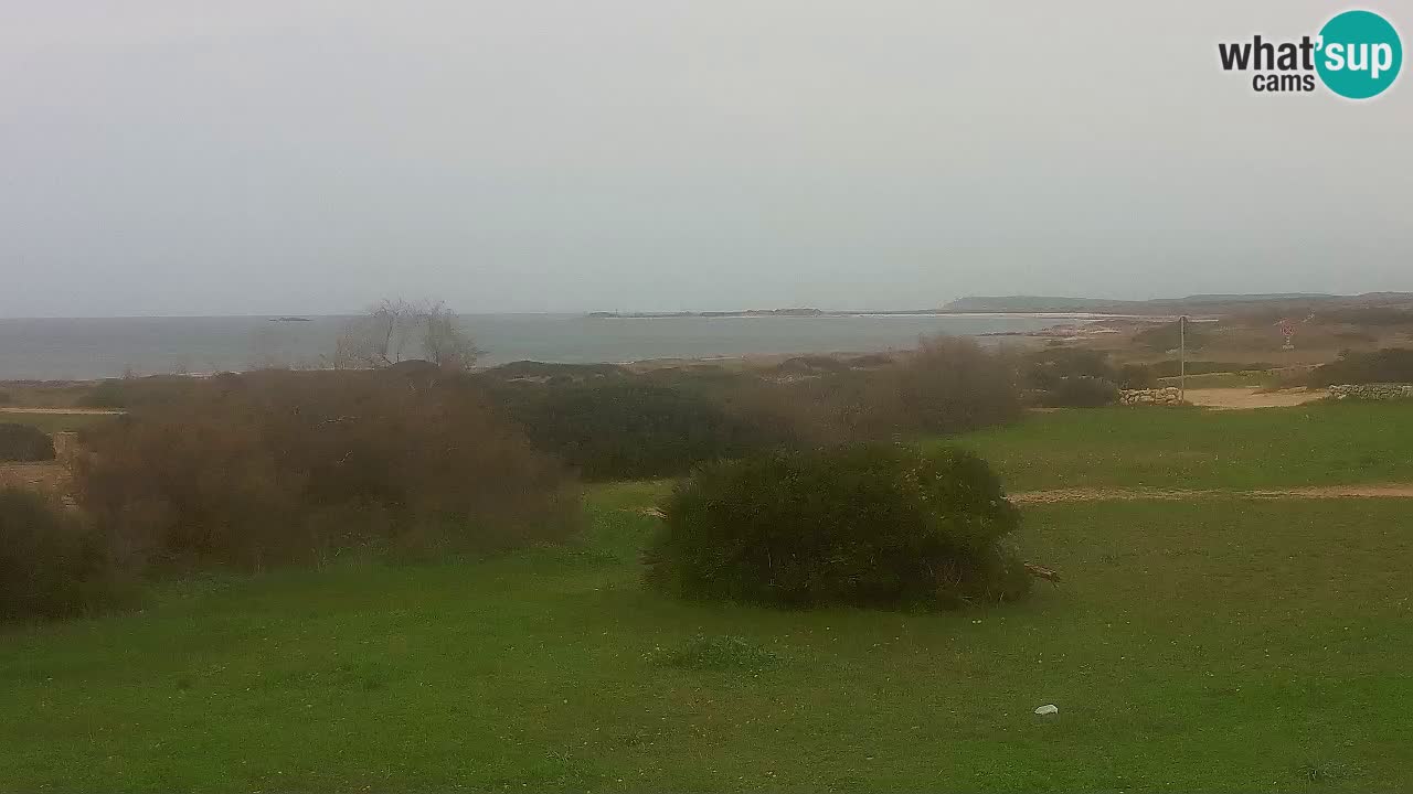 Mari Ermi beach | Is Arutas – Oristano