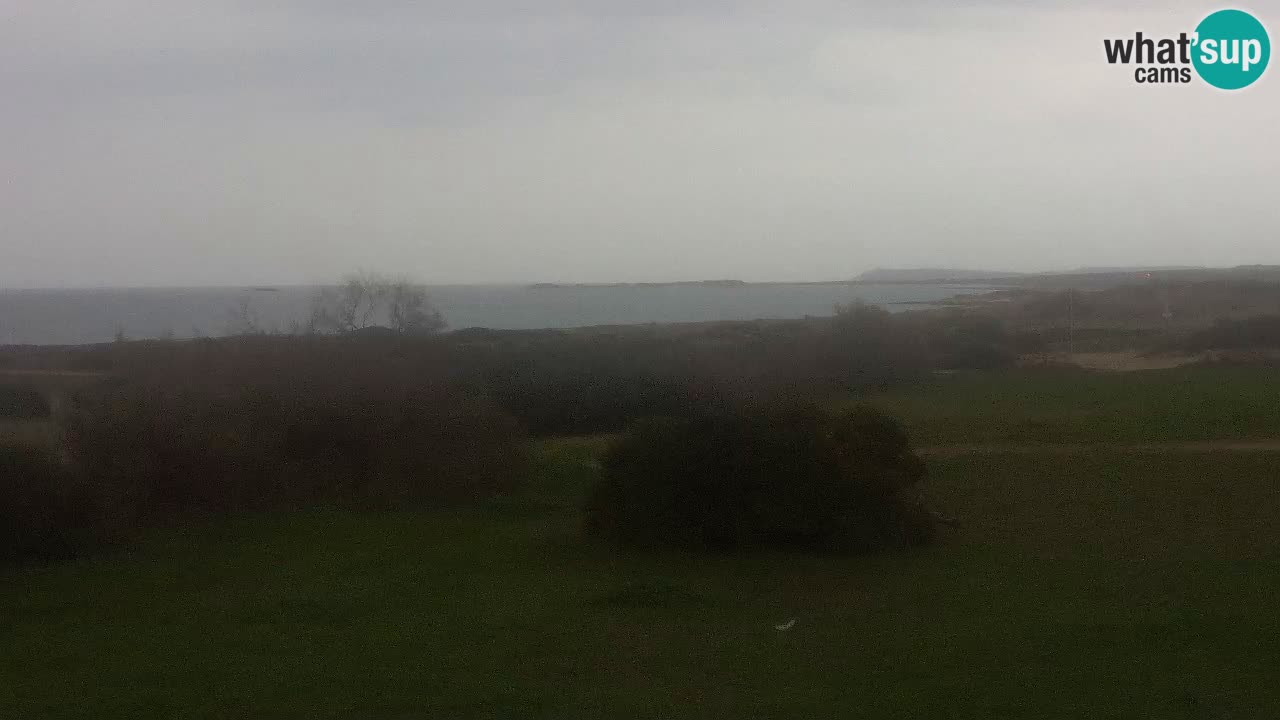 Plaža Mari Ermi | Is Arutas – Oristano