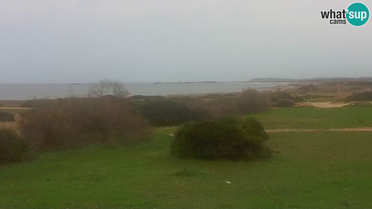 Spiaggia Mari Ermi | Is Arutas – Oristano