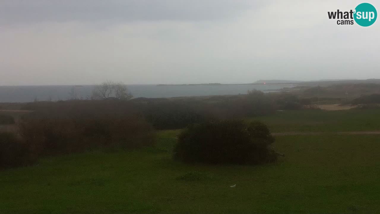 Playa Mari Ermi | Is Arutas – Oristano