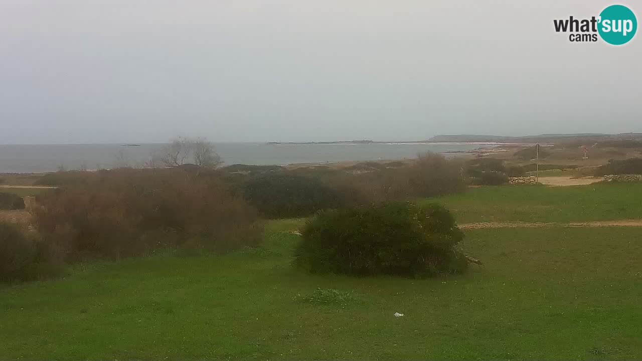 Mari Ermi Strand | Is Arutas – Oristano