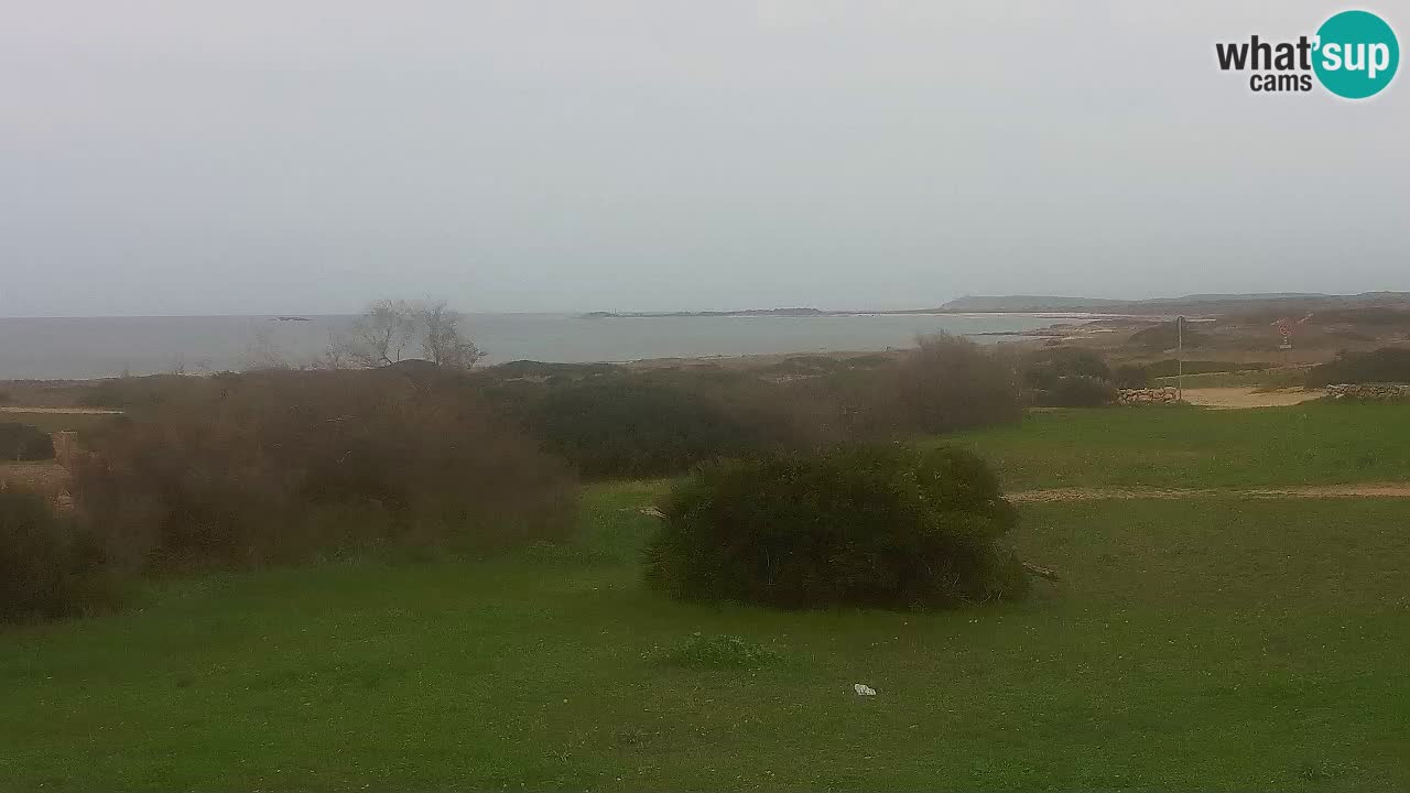 Plaža Mari Ermi | Is Arutas – Oristano