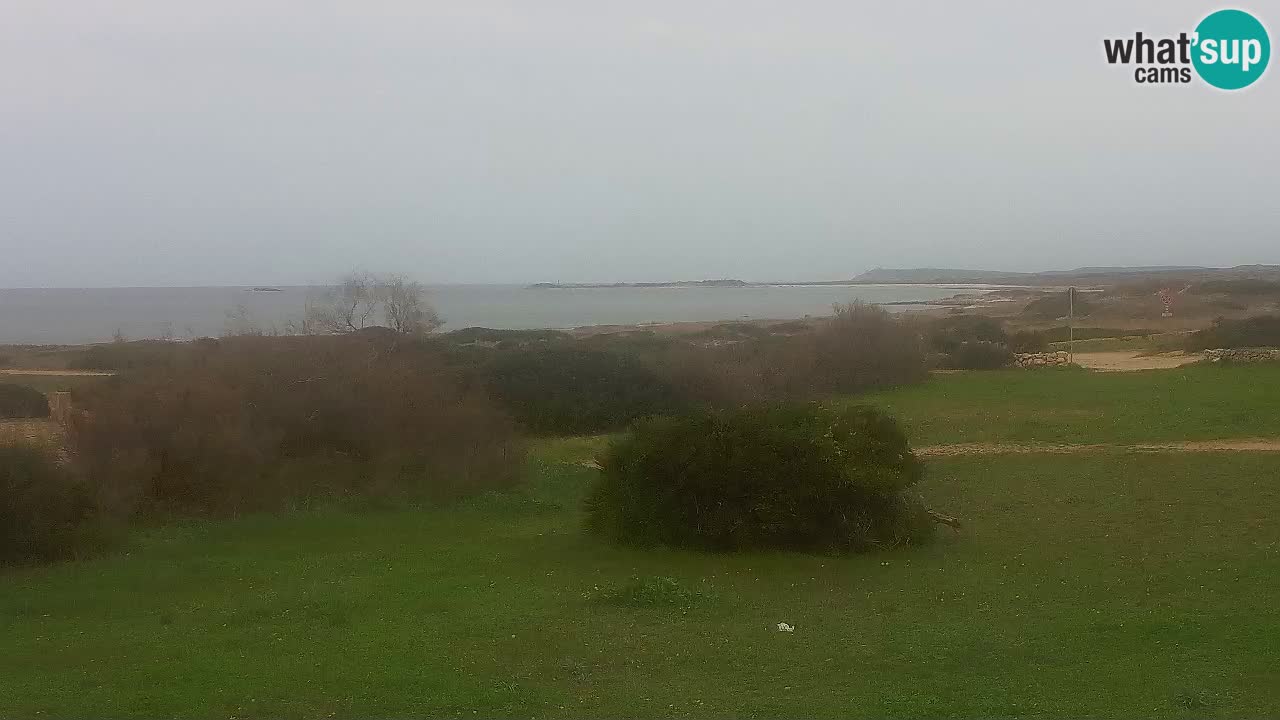 Mari Ermi Strand | Is Arutas – Oristano