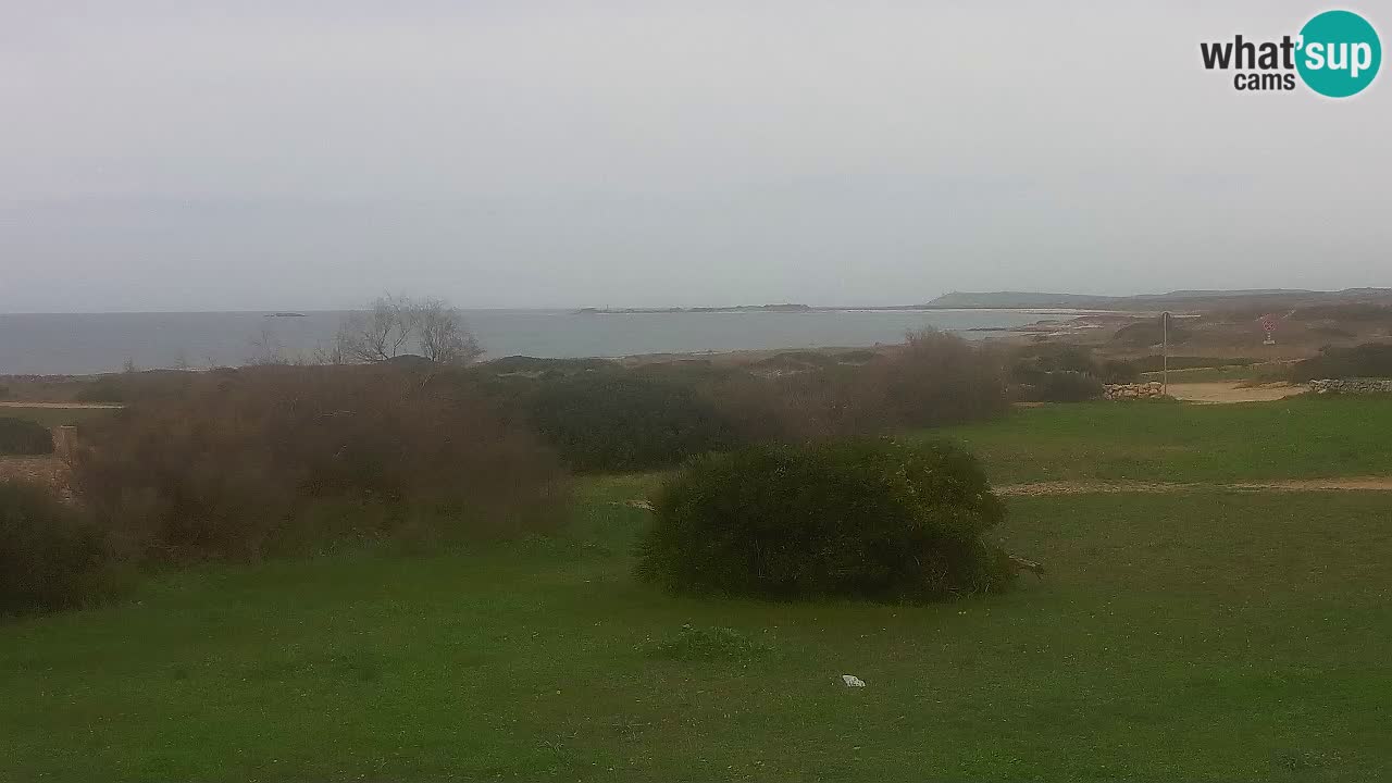 Plage Mari Ermi | Is Arutas – Oristano