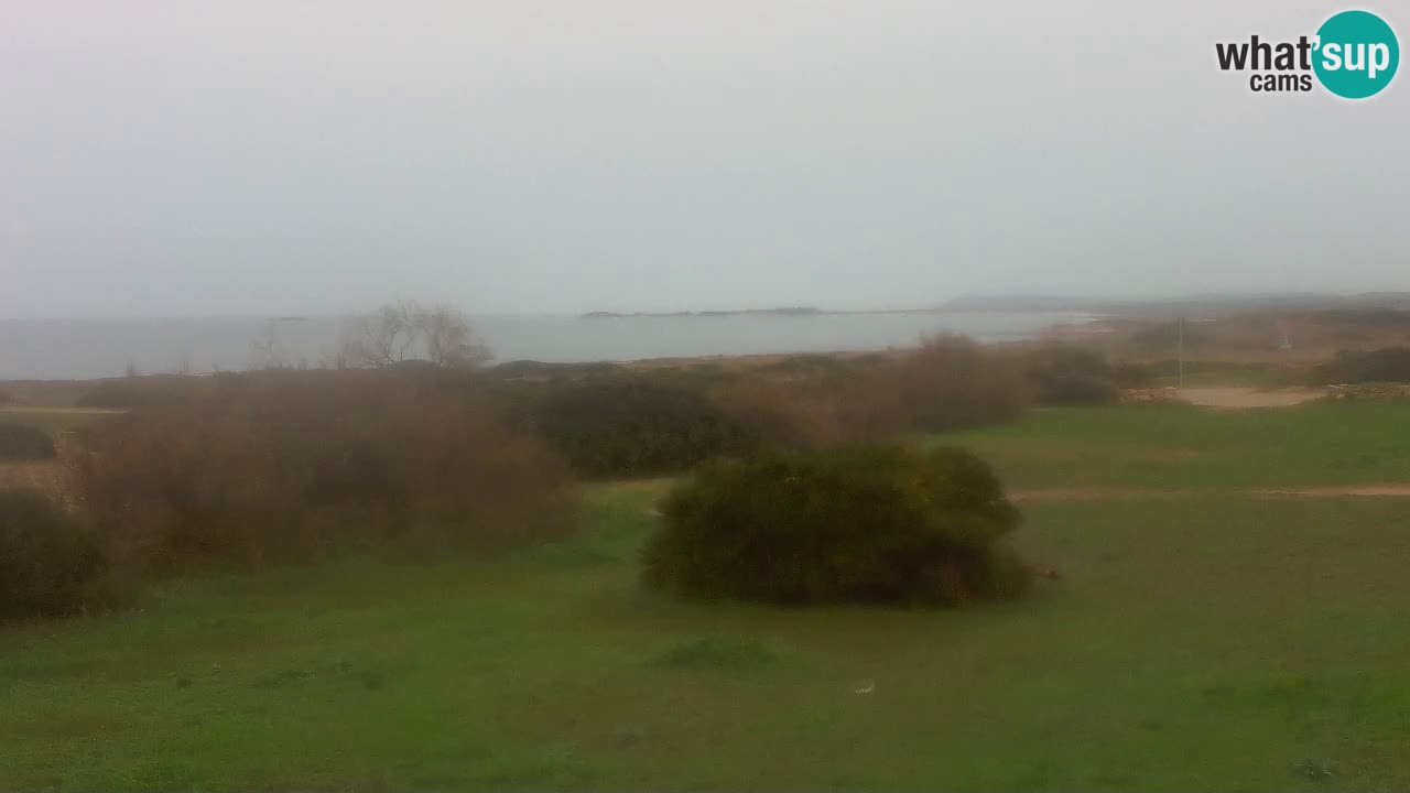 Plage Mari Ermi | Is Arutas – Oristano