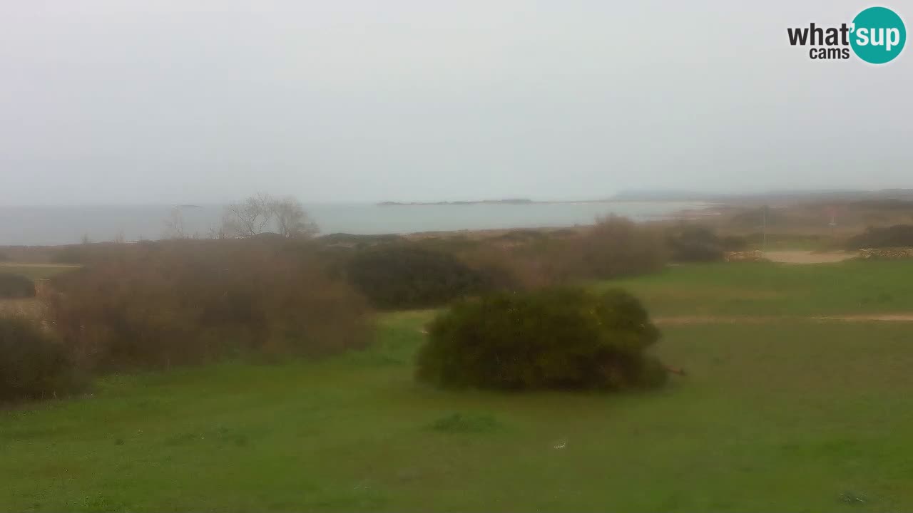 Playa Mari Ermi | Is Arutas – Oristano