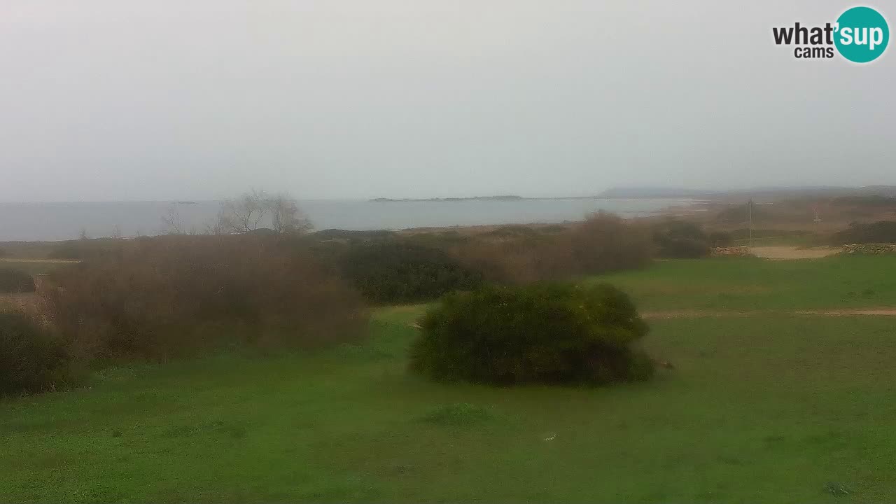 Playa Mari Ermi | Is Arutas – Oristano