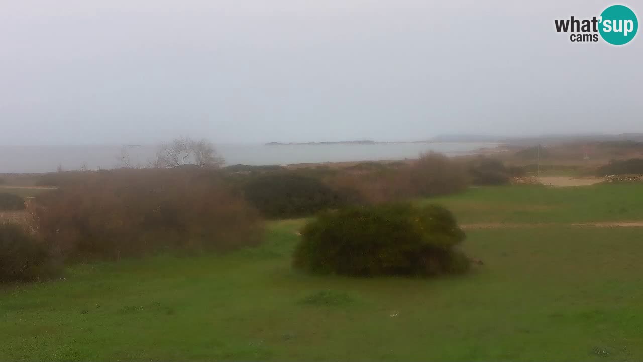 Mari Ermi Strand | Is Arutas – Oristano