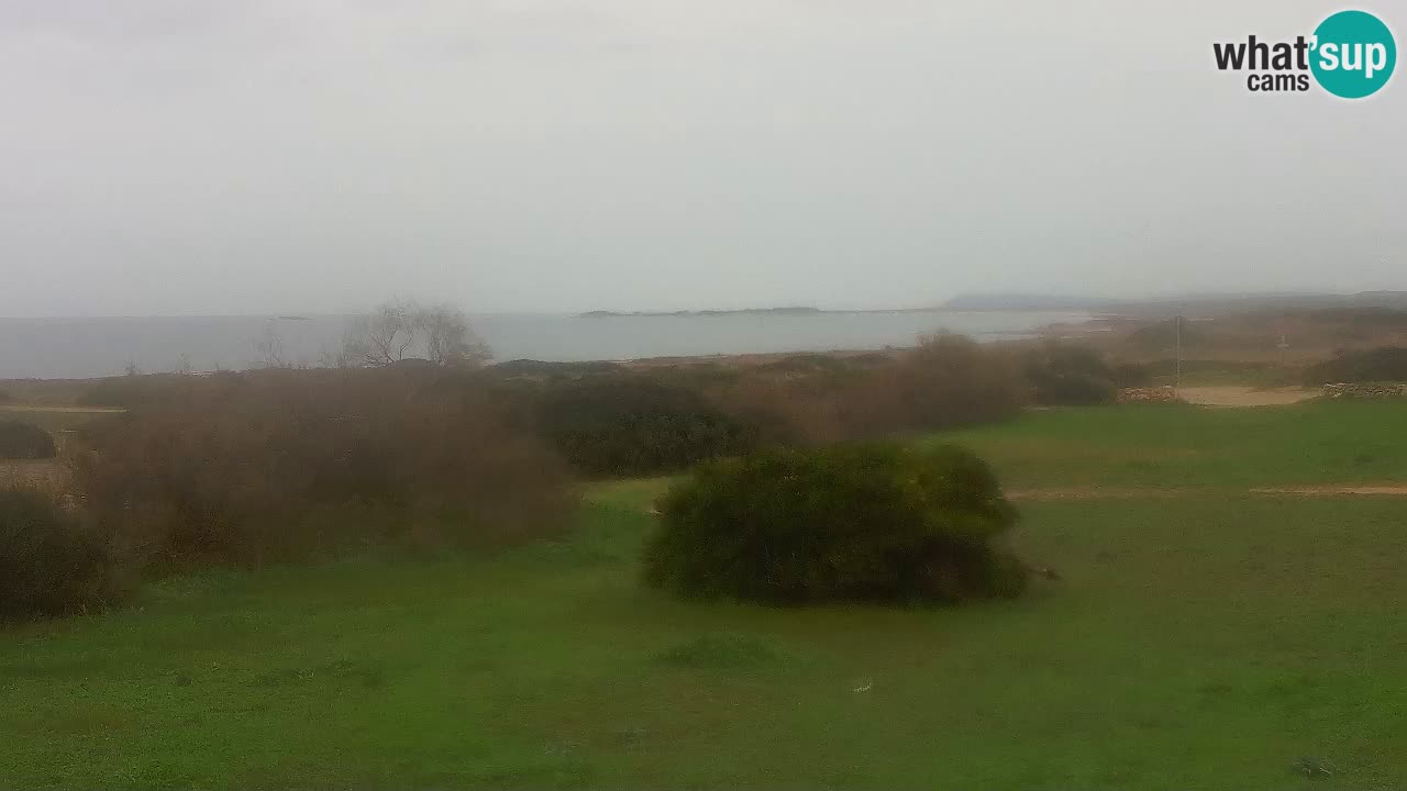 Mari Ermi beach | Is Arutas – Oristano