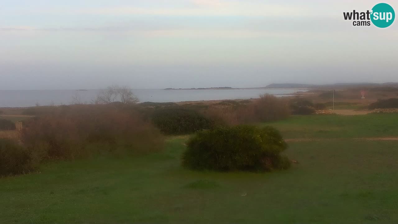 Plage Mari Ermi | Is Arutas – Oristano