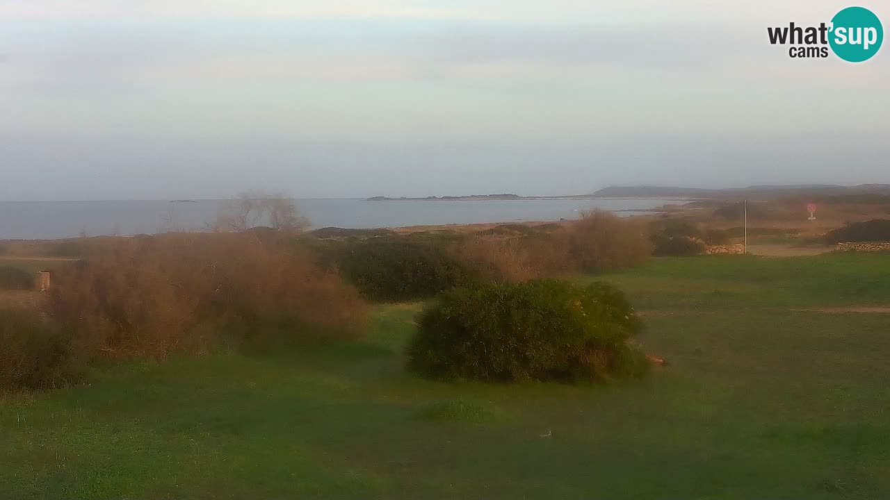 Spiaggia Mari Ermi | Is Arutas – Oristano