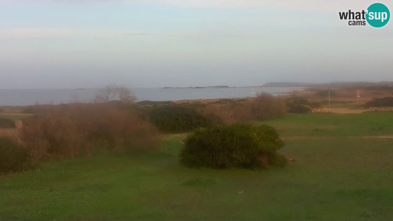 Mari Ermi beach | Is Arutas – Oristano