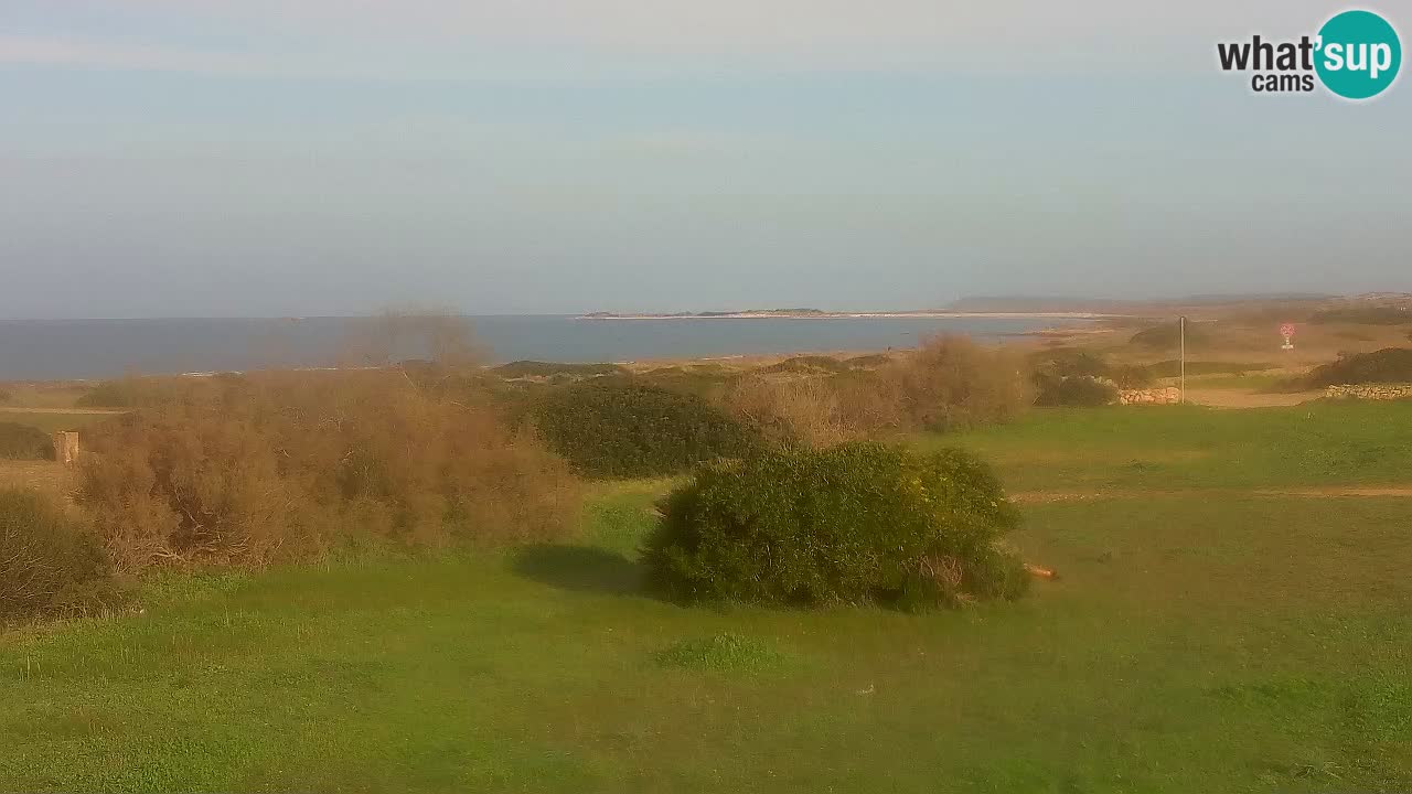 Plaža Mari Ermi | Is Arutas – Oristano