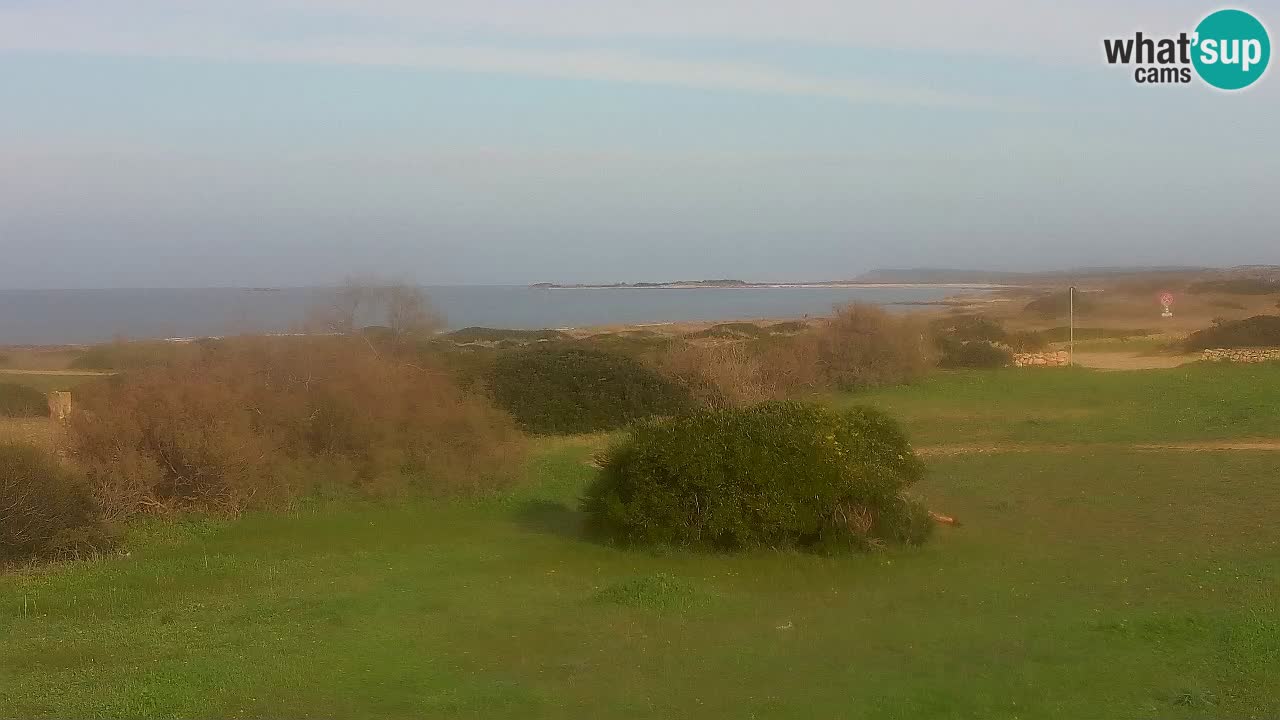 Mari Ermi beach | Is Arutas – Oristano