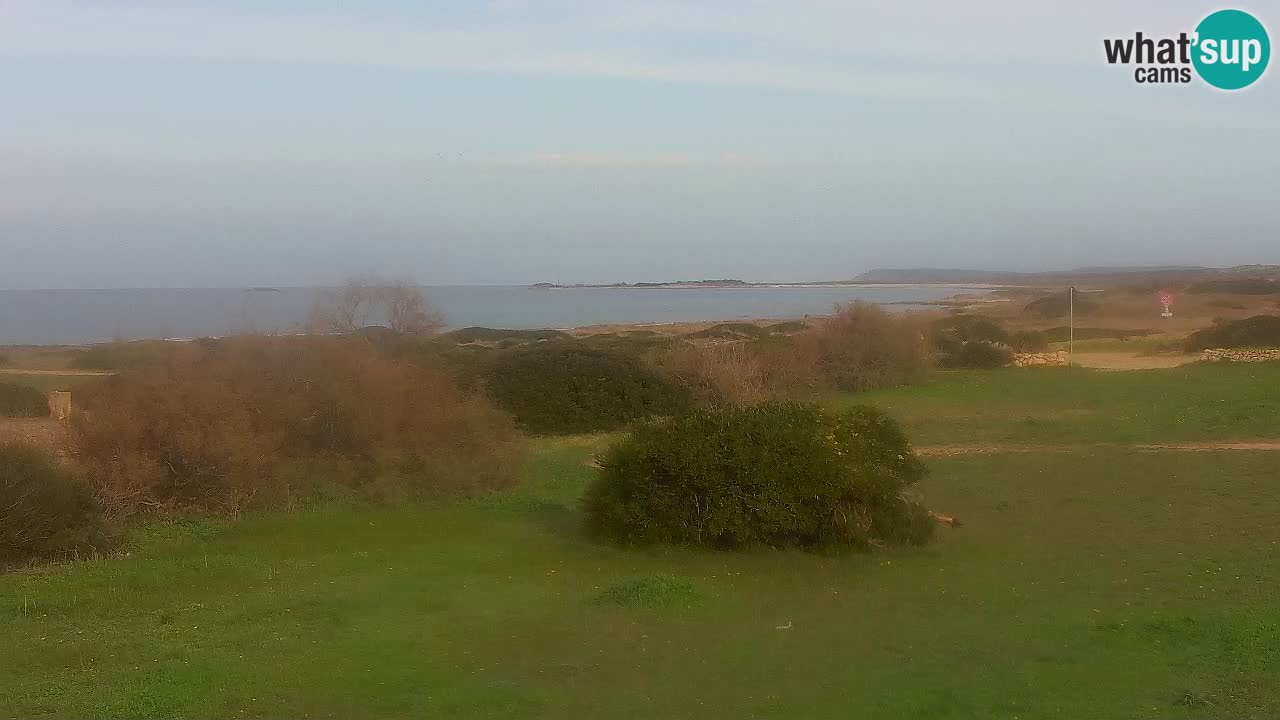 Spiaggia Mari Ermi | Is Arutas – Oristano