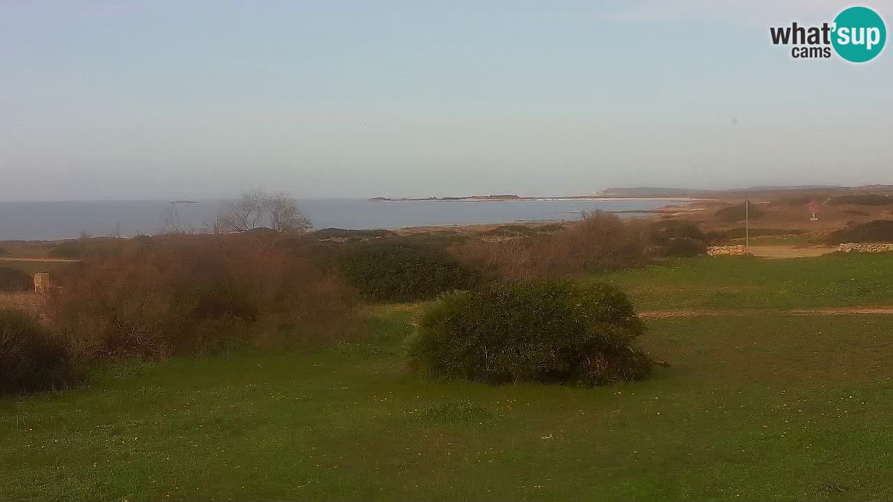 Playa Mari Ermi | Is Arutas – Oristano