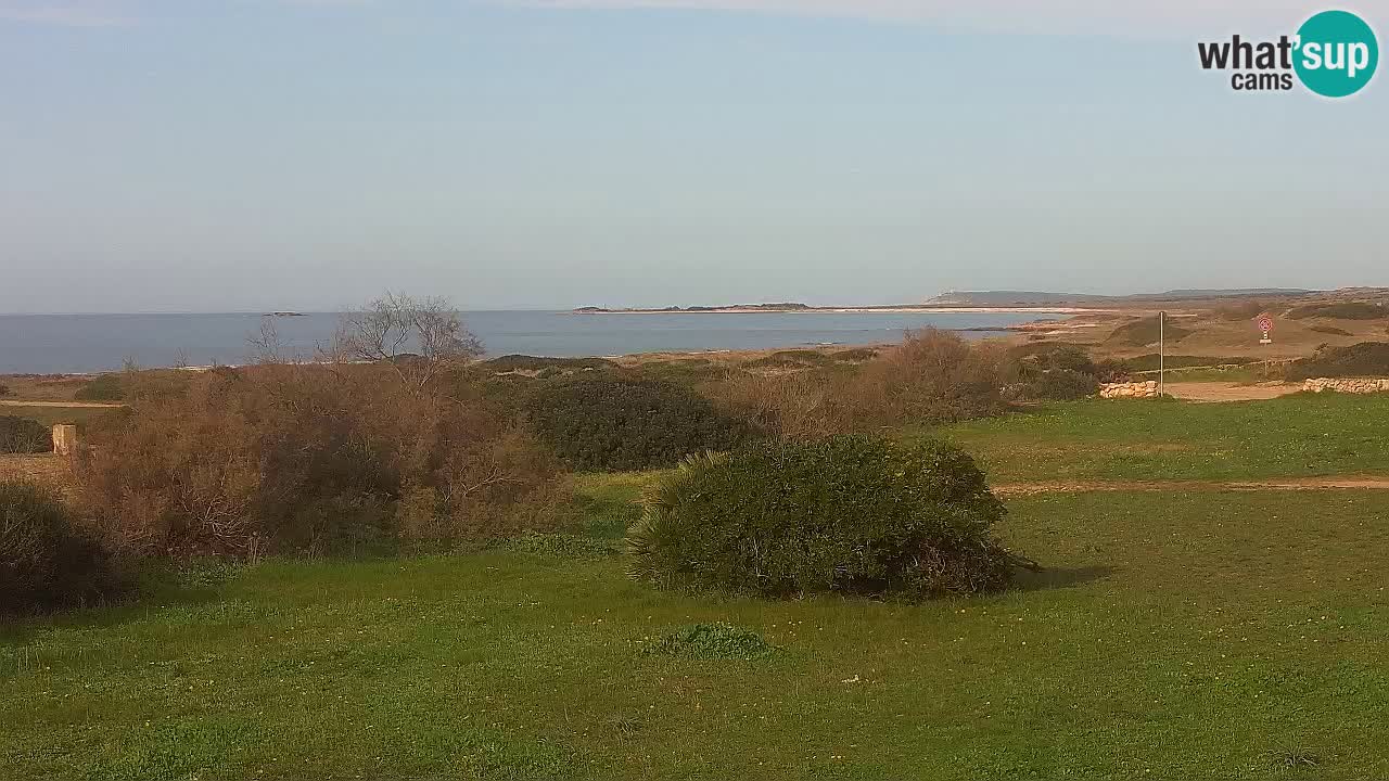 Mari Ermi Strand | Is Arutas – Oristano